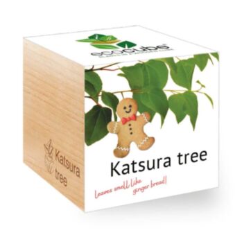 Lebkuchenbaum - Ecocube Pflanzen im Holzwürfel