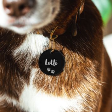 Personalisierbare Hundemarke mit Name - Design